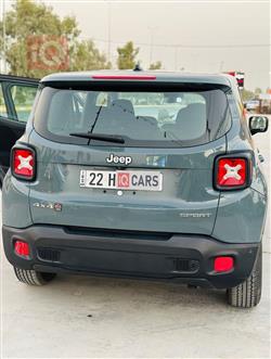 جيب رينيجيد